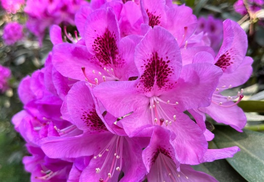 23-06-03 16-39-34 5790